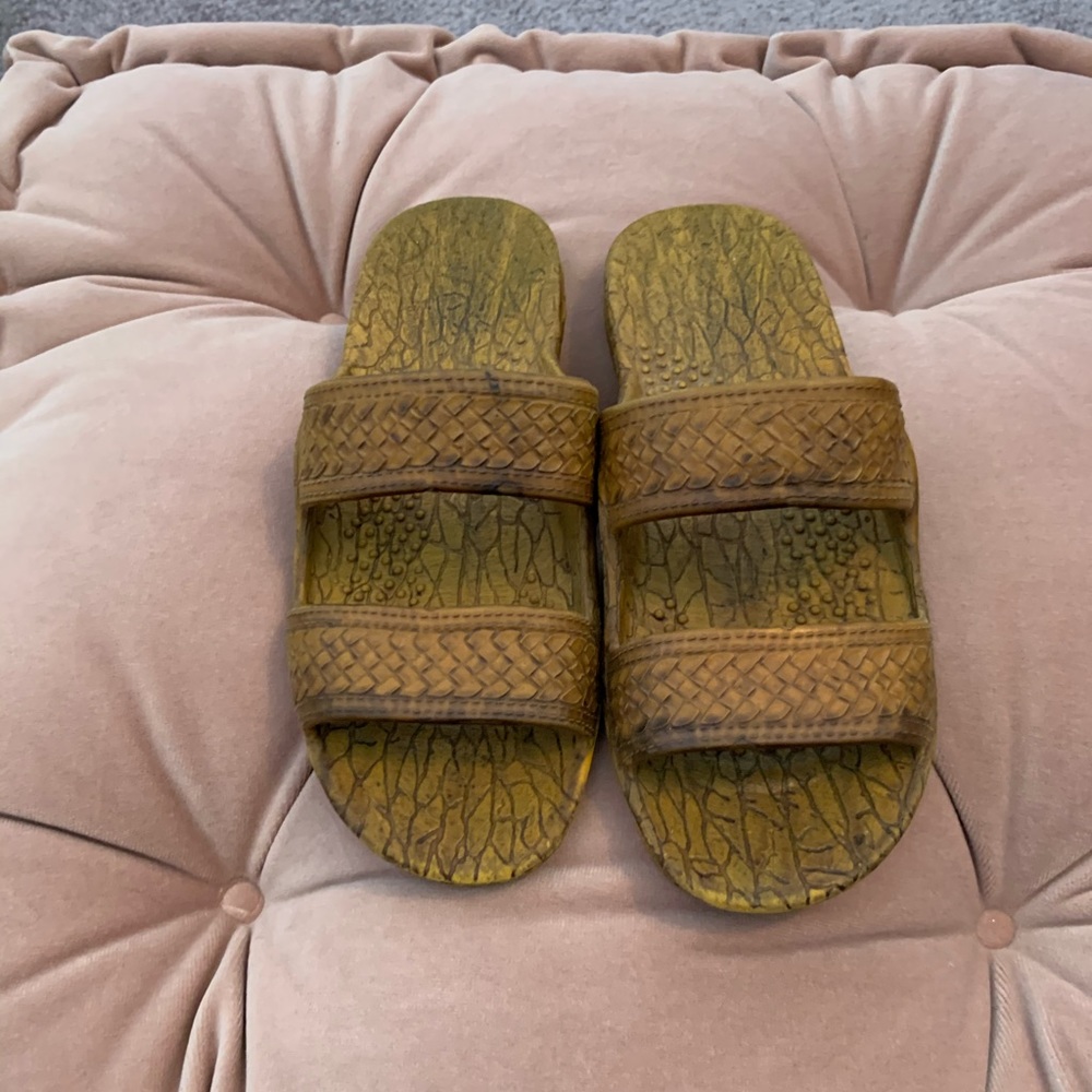 Turtle toe scandal